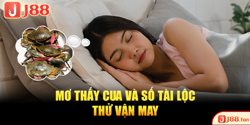 Mơ thấy cua vừa là lời cảnh cáo vừa là cơ hội vận may